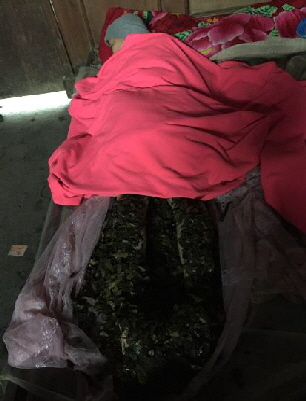 #4 Dang dieu tri (2)